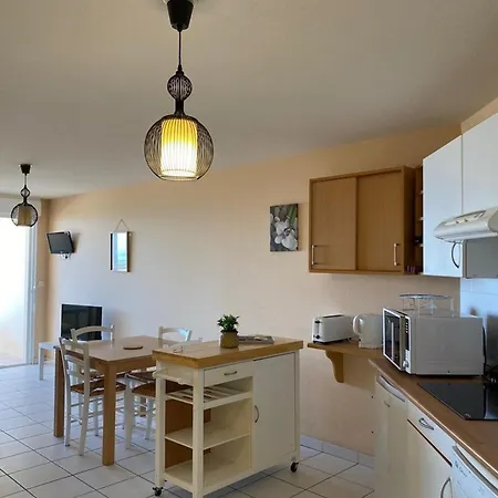 T2 Avec Terrasse Et Parking - Vue Océan - Fr-1-379-172 Appartamento